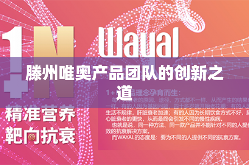 滕州唯奥产品团队的创新之道第1张-Wayal唯奥公司