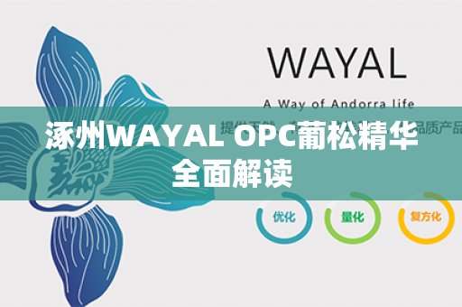 涿州WAYAL OPC葡松精华全面解读