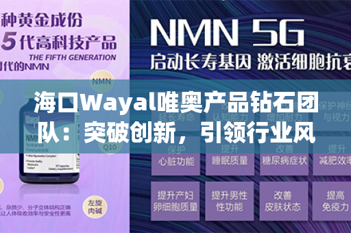 海口Wayal唯奥产品钻石团队：突破创新，引领行业风向！