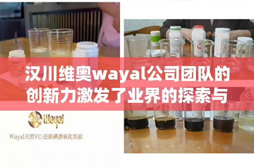 汉川维奥wayal公司团队的创新力激发了业界的探索与突破第1张-Wayal唯奥公司