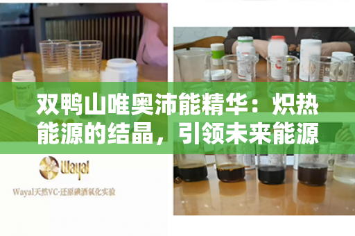 双鸭山唯奥沛能精华：炽热能源的结晶，引领未来能源革命第1张-Wayal唯奥公司