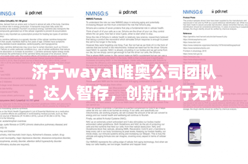 济宁wayal唯奥公司团队：达人智存，创新出行无忧！