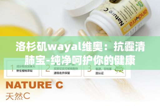 洛杉矶wayal维奥：抗霾清肺宝-纯净呵护你的健康