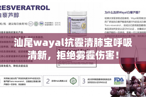 汕尾wayal抗霾清肺宝呼吸清新，拒绝雾霾伤害！第1张-Wayal唯奥公司