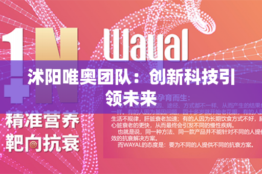 沭阳唯奥团队：创新科技引领未来第1张-Wayal唯奥公司