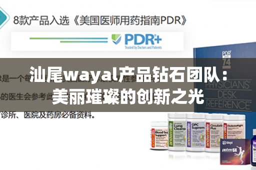 汕尾wayal产品钻石团队：美丽璀璨的创新之光