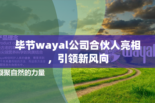 毕节wayal公司合伙人亮相，引领新风向