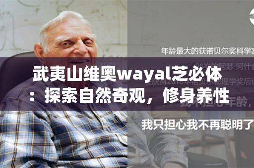 武夷山维奥wayal芝必体：探索自然奇观，修身养性，感受身心平衡的疗愈之旅第1张-Wayal唯奥公司