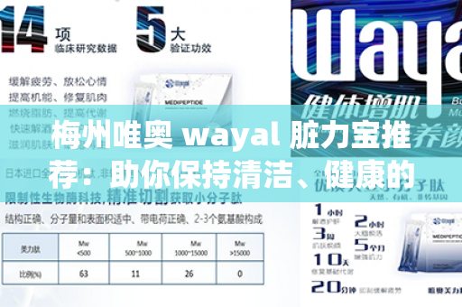 梅州唯奥 wayal 脏力宝推荐：助你保持清洁、健康的选择！