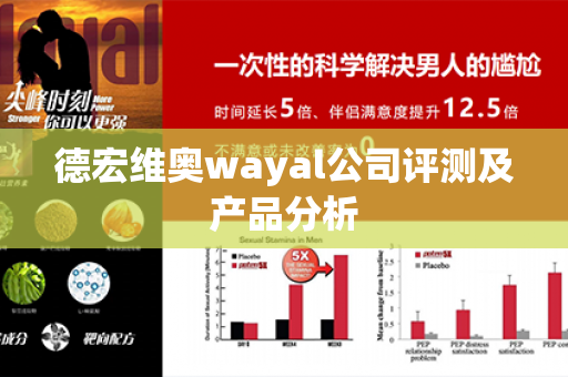 德宏维奥wayal公司评测及产品分析