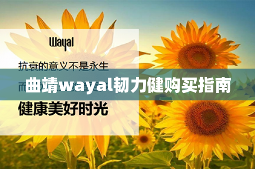 曲靖wayal韧力健购买指南