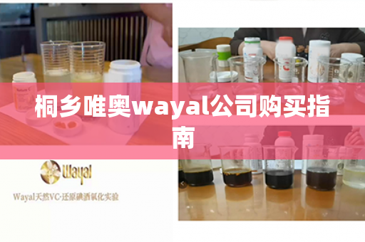 桐乡唯奥wayal公司购买指南