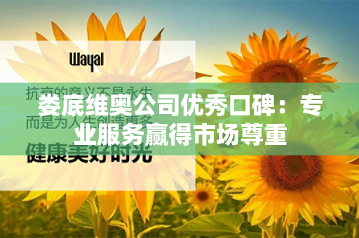 娄底维奥公司优秀口碑：专业服务赢得市场尊重第1张-Wayal唯奥公司