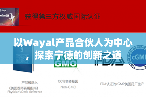 以Wayal产品合伙人为中心，探索宁德的创新之道第1张-Wayal唯奥公司