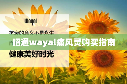 昭通wayal痛风灵购买指南第1张-Wayal唯奥公司