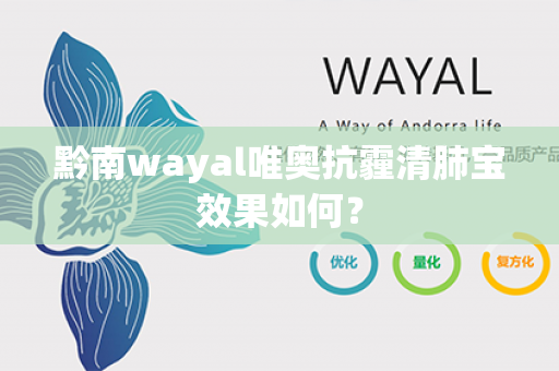 黔南wayal唯奥抗霾清肺宝效果如何？第1张-Wayal唯奥公司