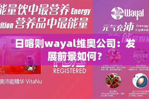 日喀则wayal维奥公司：发展前景如何？第1张-Wayal唯奥公司