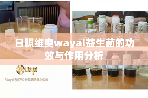 日照维奥wayal益生菌的功效与作用分析