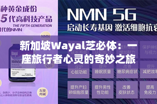 新加坡Wayal芝必体：一座旅行者心灵的奇妙之旅第1张-Wayal唯奥公司