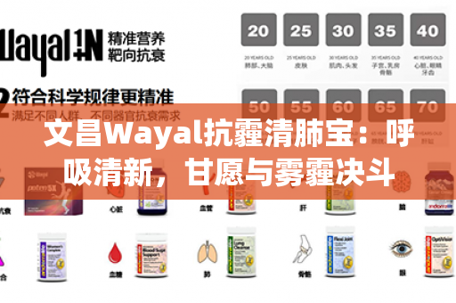 文昌Wayal抗霾清肺宝：呼吸清新，甘愿与雾霾决斗