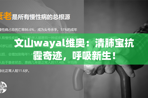 文山wayal维奥：清肺宝抗霾奇迹，呼吸新生！