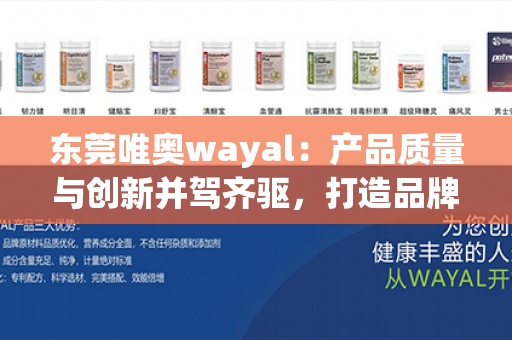 东莞唯奥wayal：产品质量与创新并驾齐驱，打造品牌新高度