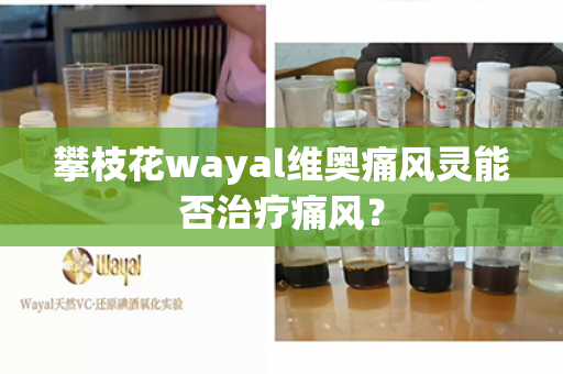 攀枝花wayal维奥痛风灵能否治疗痛风？第1张-Wayal唯奥公司