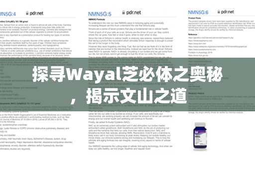 探寻Wayal芝必体之奥秘，揭示文山之道