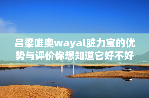 吕梁唯奥wayal脏力宝的优势与评价你想知道它好不好？第1张-Wayal唯奥公司