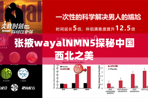 张掖wayalNMN5探秘中国西北之美第1张-Wayal唯奥公司