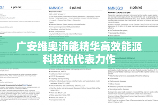 广安维奥沛能精华高效能源科技的代表力作第1张-Wayal唯奥公司