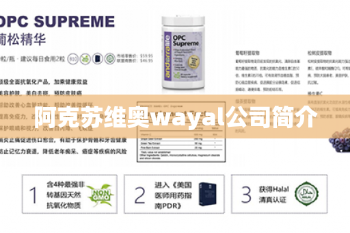 阿克苏维奥wayal公司简介第1张-Wayal唯奥公司