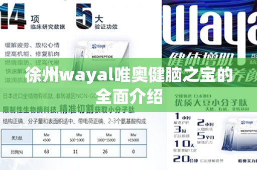 徐州wayal唯奥健脑之宝的全面介绍第1张-Wayal唯奥公司