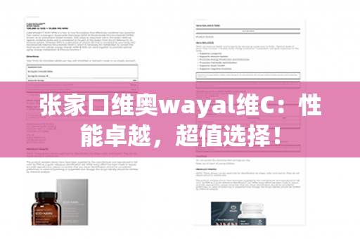 张家口维奥wayal维C：性能卓越，超值选择！