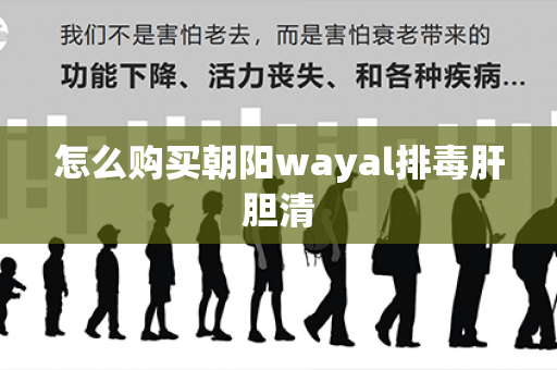 怎么购买朝阳wayal排毒肝胆清