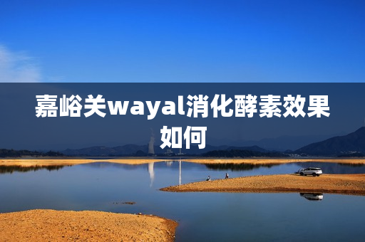 嘉峪关wayal消化酵素效果如何