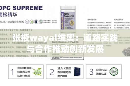 张掖wayal维奥：道路实践与合作推动创新发展第1张-Wayal唯奥公司