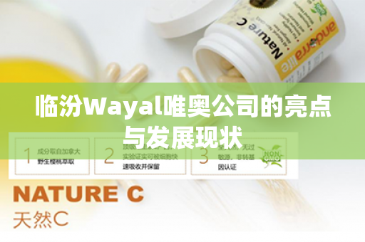 临汾Wayal唯奥公司的亮点与发展现状第1张-Wayal唯奥公司