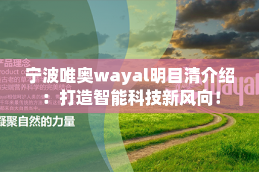 宁波唯奥wayal明目清介绍：打造智能科技新风向！