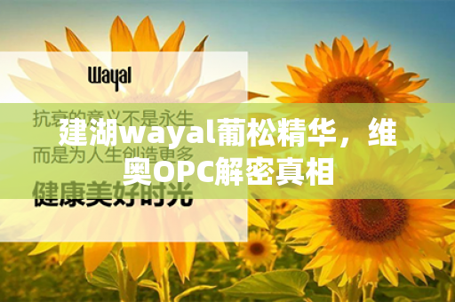 建湖wayal葡松精华，维奥OPC解密真相