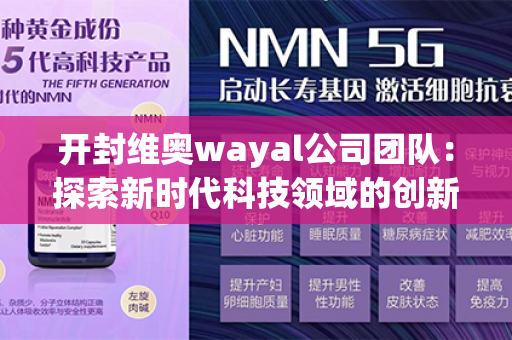 开封维奥wayal公司团队：探索新时代科技领域的创新之路