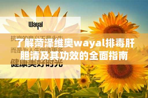 了解菏泽维奥wayal排毒肝胆清及其功效的全面指南