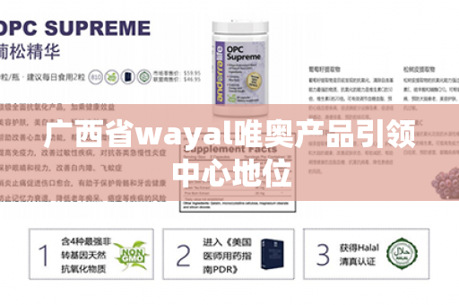 广西省wayal唯奥产品引领中心地位第1张-Wayal唯奥公司