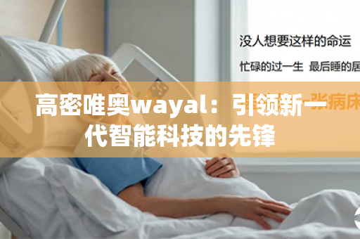 高密唯奥wayal：引领新一代智能科技的先锋