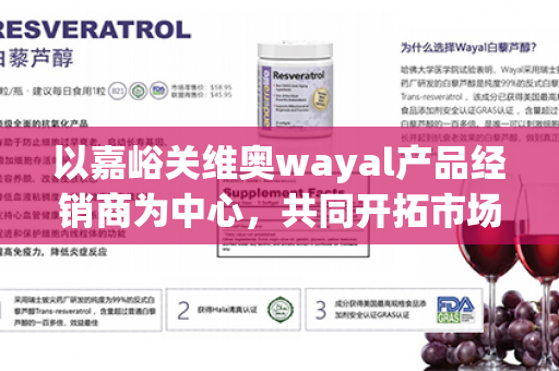 以嘉峪关维奥wayal产品经销商为中心，共同开拓市场资源第1张-Wayal唯奥公司