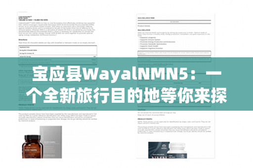 宝应县WayalNMN5：一个全新旅行目的地等你来探索！