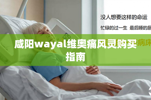 咸阳wayal维奥痛风灵购买指南第1张-Wayal唯奥公司