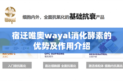 宿迁唯奥wayal消化酵素的优势及作用介绍第1张-Wayal唯奥公司