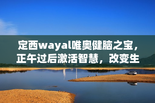 定西wayal唯奥健脑之宝，正午过后激活智慧，改变生活！第1张-Wayal唯奥公司