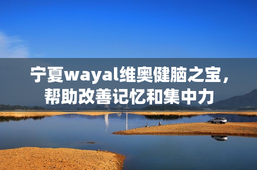 宁夏wayal维奥健脑之宝，帮助改善记忆和集中力